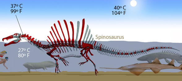 Spinosaurus underwater