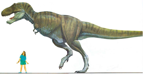 Tyrannosaurus from Gallery of Dinosaurs
