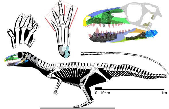 Poposaurus