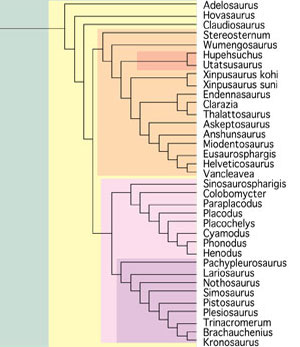 Enaliosauria tree