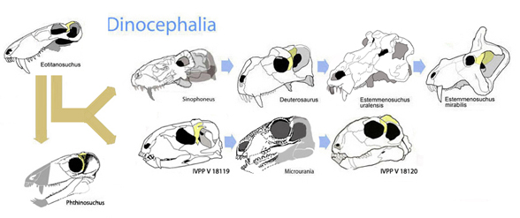 Dinocephalians including Estemmenosuchus