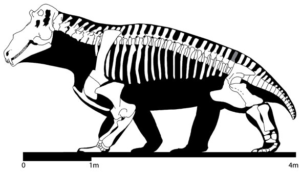 Estemmenosuchus lateral view
