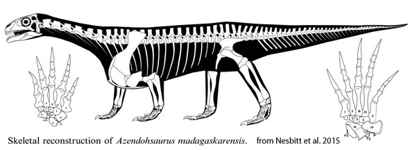 Azendohsaurus