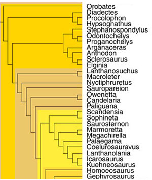 Middle Lepidosauromorphs