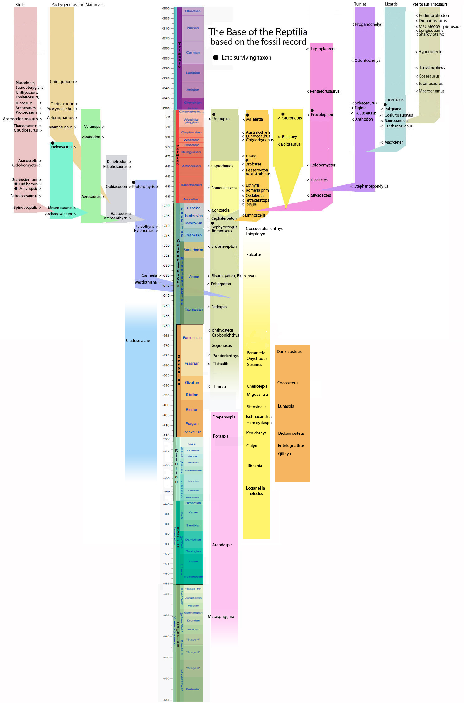 Basal Reptile Chronology