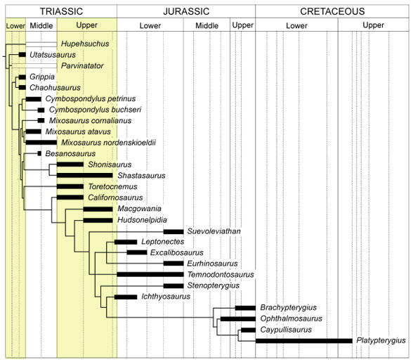 Ichthyosaur family tree